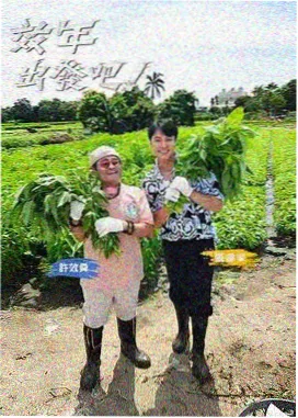 18影院户外纪实综艺荒岛三十六小时海报